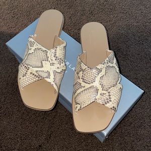 Snake skin everlane sandals